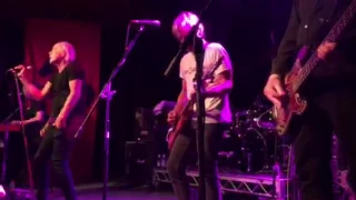 Radio Birdman live Capitol Perth 2017