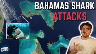 Bahamas Shark Attacks: Shark Scientist Opinion.