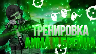 🔥 Моя тренировка в Standoff 2 | Тренировка аима и брейна