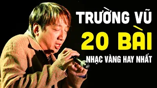 Trường Vũ Và 20 Bài Nhạc Vàng Chọn Lọc Hay Nhất Sự Nghiệp - Trường Vũ Nhạc Hải Ngoại Chọn Lọc