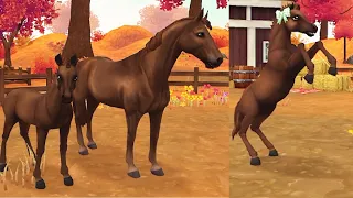 New Foal Baby Belgian Warmblood in Star Stable Horses App