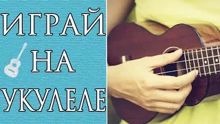 Лучшие Песни На Укулеле Для Начинающих (Часть 3)