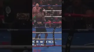 Tyson Fury rises from the dead against Deontay Wilder