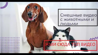 Смешные видео  | Попробуй не засмеяться челлендж 2019