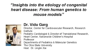 Insights into the etiology of congenital heart disease: From human genetics to mouse models