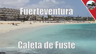 Fuerteventura Caleta de Fuste: ready to discover paradise on the Atlantic?