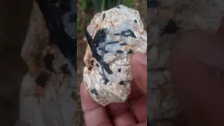 Turmalina negra (Schorl) sobre matriz de Cuarzo - Colección de Minerales 💎😎