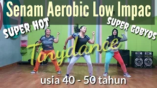 Senam AEROBIK LOW IMPAC usia 40-50tahun|Aerobik Pemula|Senam Menurunkan Berat Badan|Tinydance