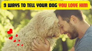 9 Ways to Tell Your Dog You Love Him | Pet Care Tips