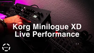 Korg Minilogue XD Live Performance #23 part1