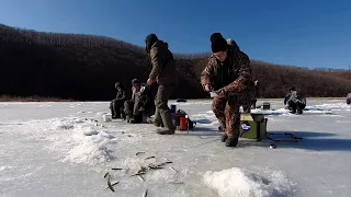 Корюшка прёт! Рыбалка на Душкинской речке. Приморье