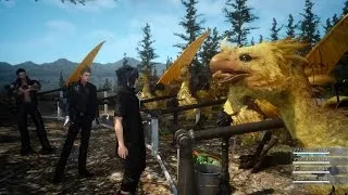 Final Fantasy XV: Chocobo Racing