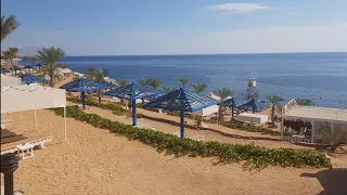 Египет Шарм- эль- шейх 2023 год. Пляж море солнце.  Анимация на пляже. Отель Grand Oasis Resorts 4.