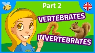 Vertebrates and Invertebrates Animals (part 2) | Kids Videos