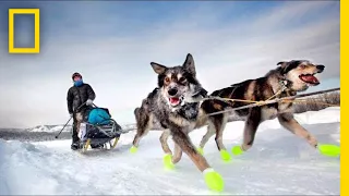 See How Dog Sledding Helped This Photographer Get Her Spark Back | Short Film Showcase