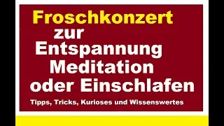 Froschkonzert Frösche bei der Balz Wasserfrösche Natiurgeräusche einschlafen Meditation Entspannung