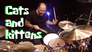 Cats and Kittens: Peter Erskine