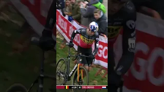 L'obstacle de trop qui a fait chuter Wout Van Aert #shorts #short