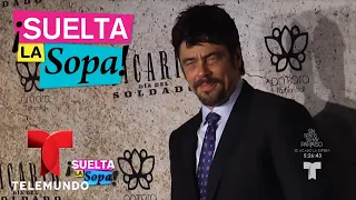 Benicio del Toro reacciona a críticas de ‘Sicario’ | Suelta La Sopa | Entretenimiento