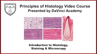 Introduction to Histology, Staining, and Microscopy