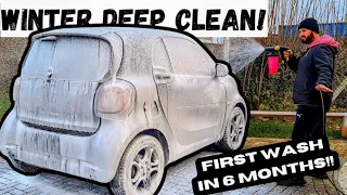 Mind-Blowing Transformation: Smart Car Deep Clean After 6 Months