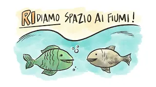 IL FIUME. UN ECOSISTEMA COMPLESSO