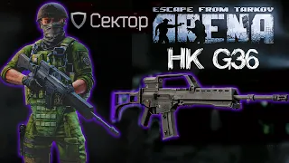 Сектор - Лучший Штурмовик Арены?  🎥 HK G36 в Escape From Tarkov: Arena