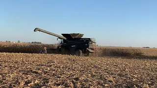 Fendt Ideal 8T running 12 row chopping head