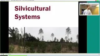Practical Silviculture for Non-Foresters
