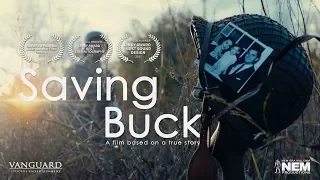 Saving Buck - (WWII Short Film) [4K]