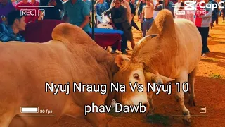Saib 10phav Dawb vs nyuj Nraug Na 30 08 2023 ( Slow Motion video)