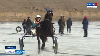 Скачки в Шира. 09.03.2017