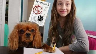 MY DOG DID MY HOMEWORK