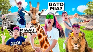 DESAFIO GATO MIA COM ANIMAIS EXÓTICOS *deu ruim ?