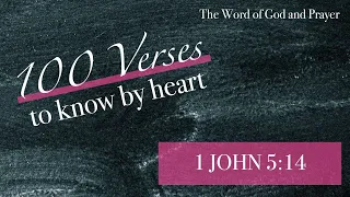 This is the Confidence We Have (1 John 5:14) a Bible memory verse song