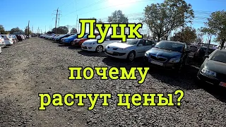 Авторынок Луцк, обзор цен, подбор авто, Рено Меган