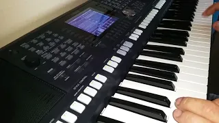 Берёзы. Yamaha PSR-S 950