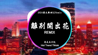 離別開出花 - 就是南方凱 (DJ抖音 Remix)【抖音热门歌曲】『当离别开出花 伸出新长的枝桠 像冬去春又来 等待心雪融化。』抖音 Hot Tiktok Douyin | Baozhang