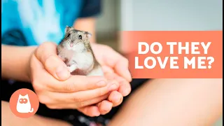How to KNOW if My HAMSTER LOVES ME 🐹 (5 Signs to Look Out For)