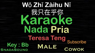 Wo Zhi Zai Hu Ni -我只在乎你-Teresa Teng  邓丽君 Nada Pria-Male-Cowok-Laki-laki@ucokku