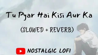 Tu Pyar hai Kisi Aur Ka (Slowed + Reverb) | Kumar Sanu | 90s Song | #Lofi #slowedandreverb | #sad