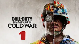 Call of Duty: Black Ops Cold War #1 (Некуда бежать)