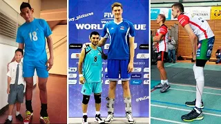 Tallest Players in Volleyball History HD