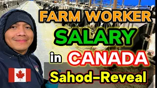 FARM WORKER SALARY in CANADA #pinoycanada #filipinocanada #buhaycanada  #canadalife