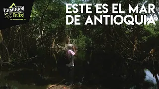 EL CARIBE DE ANTIOQUIA QUE NO CONOCÍAS, SAN JUAN DE URABÁ || CaminanTr3s, El tercero eres tú!