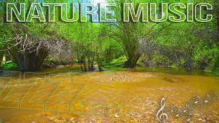 Nature Music for Deep Sleep with Binaural Beats in 8-12Khz for Relaxation