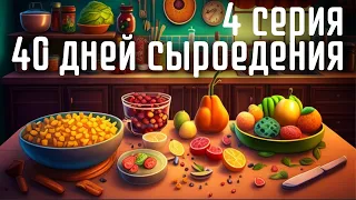 40 дней сыроедения 4 серия Фишки приготовления еды 40 days of Raw challenge