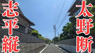 【三角州】初夏の志太平野を縦断していくドライブ