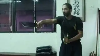Thierry Cuvillier Wing Chun Kung Fu 2011 Taiwan