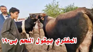 المفتري بيقول اللحم ب١٩٠ جنيه النهارده عايز يخربها ويقعد علي تلها وانا قررت اشتغل علي الميزان علشان